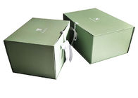 Het embleem drukte Golfleveringsdouane Verpakkend Dozen Groene Gekleurde Vouwbaar leverancier