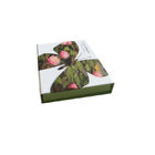 Volledig Kleurendrukboek Gevormd Vakje 160 * 121 * 25mm met Eco - Vriendschappelijk Materiaal  leverancier